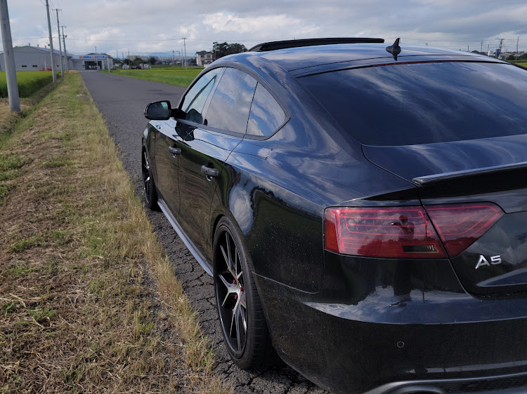 A5 スポーツバックの再会！・Audiのある生活・車検です・息子の帰省