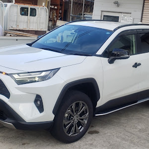 RAV4 AXAH54