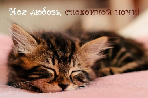 С добрым утром, Спокойной ночи любовь моя