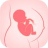 Pregnancy Tracker: Baby Growth icon