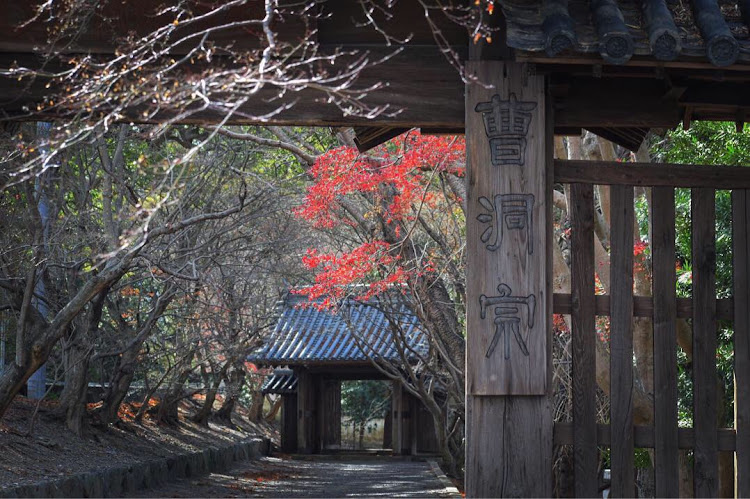 CTのDIY・米津玄師・大塚国際美術館・正月・薬王寺に関するカスタム事例の投稿画像2枚目