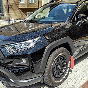 RAV4 MXAA54