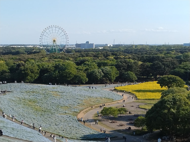 の投稿画像11枚目