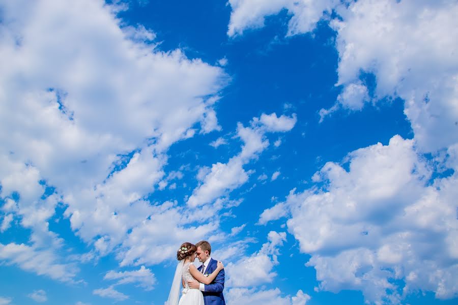 Fotografo di matrimoni Elena Shaptala (elenashaptala). Foto del 19 gennaio 2017