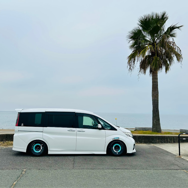 ステップワゴンのUSDM・テスラ純正ホイール流用・エアロディスク・富士山・暖かい１日に関するカスタム事例の投稿画像1枚目
