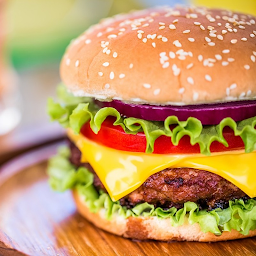 Plant-Based Cheeseburger