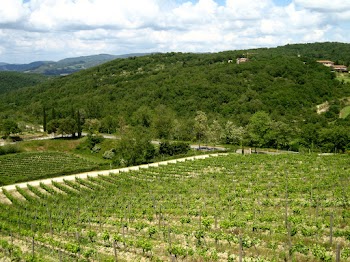 Ruta por Chianti - BAJO EL CIELO DE LA TOSCANA (6)