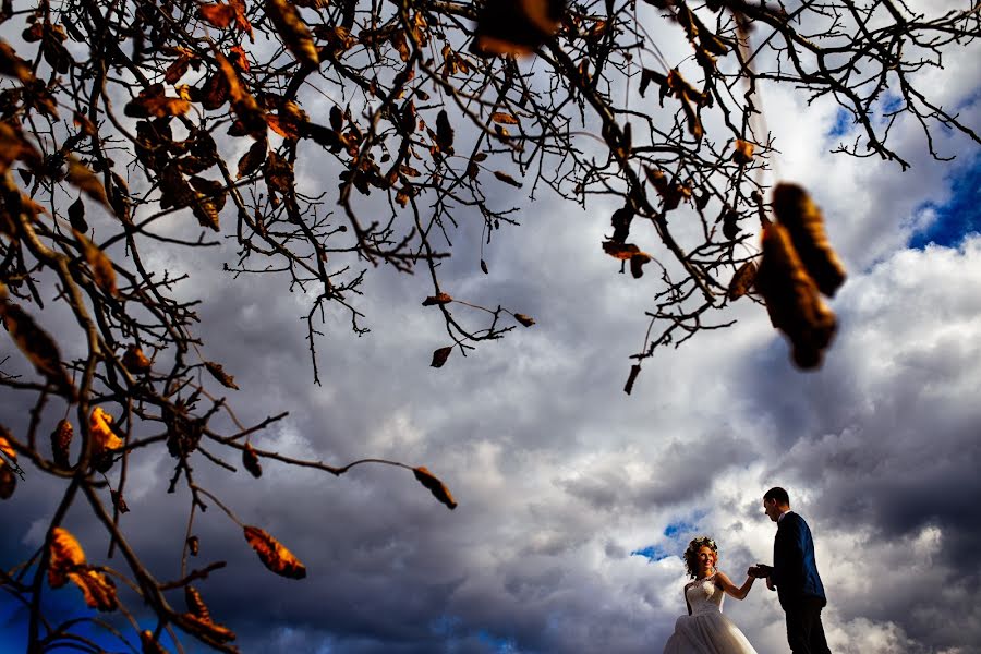 Photographe de mariage Casian Podarelu (casian). Photo du 6 novembre 2016