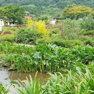 【竹子湖】苗榜花園餐廳