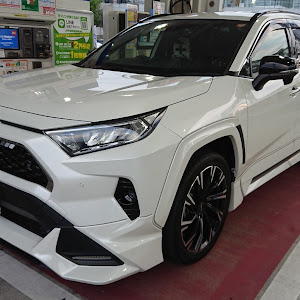 RAV4 MXAA54