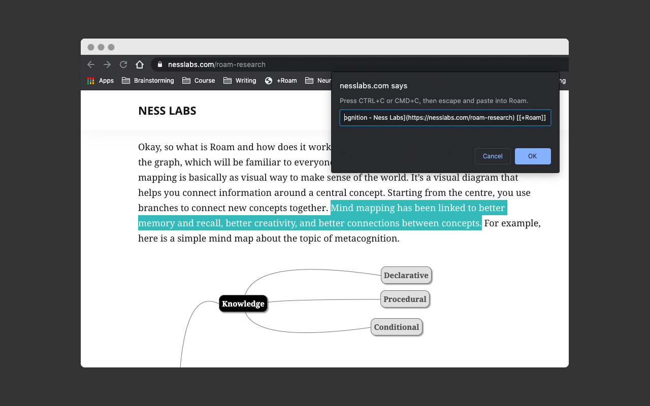 +Roam Preview image 3