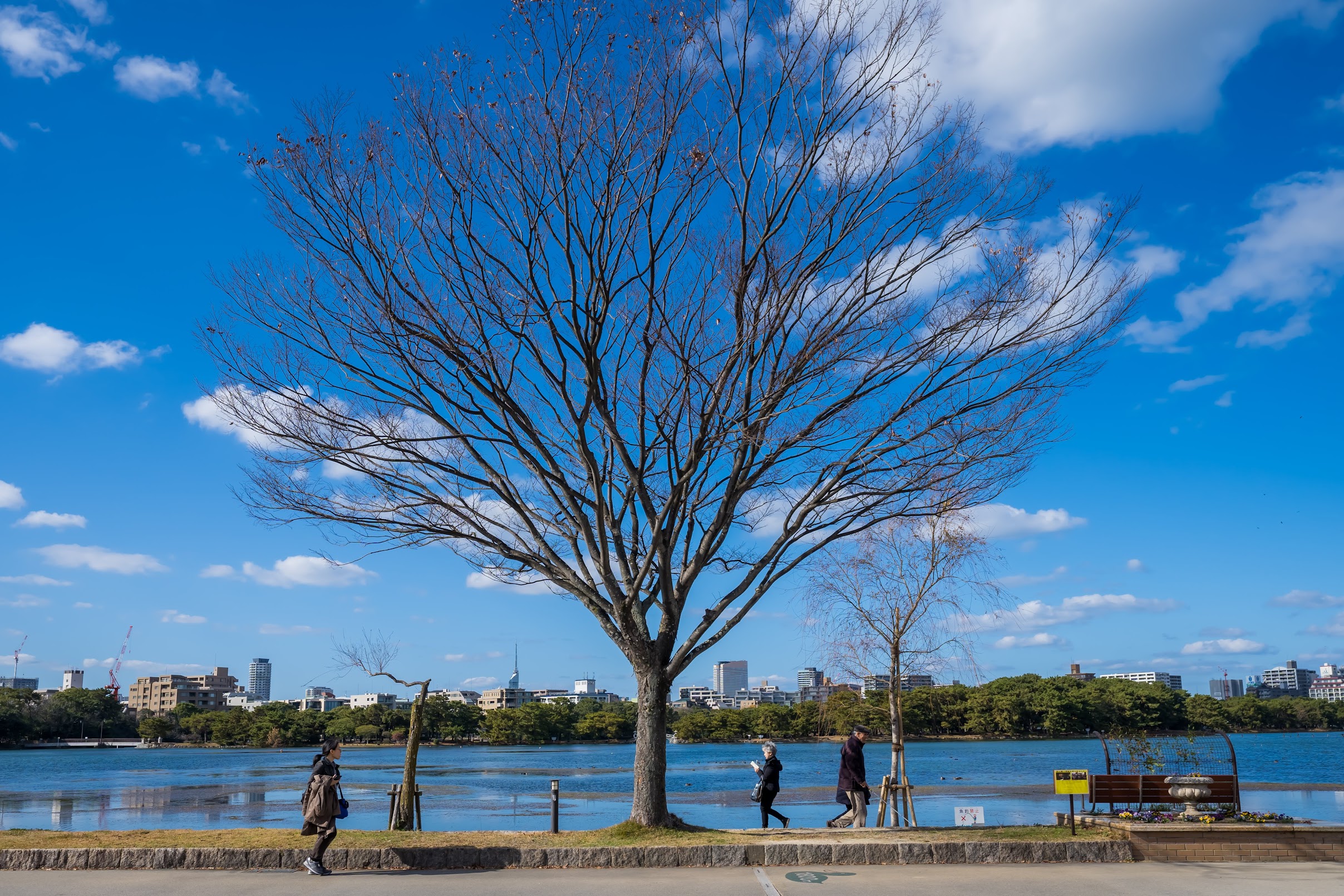 福岡 大濠公園4