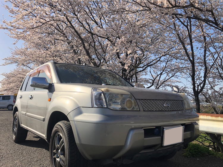 エクストレイルのいい30の日・2023ベストショット4月に関するカスタム事例の投稿画像1枚目