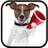 Dog Sounds mobile app icon