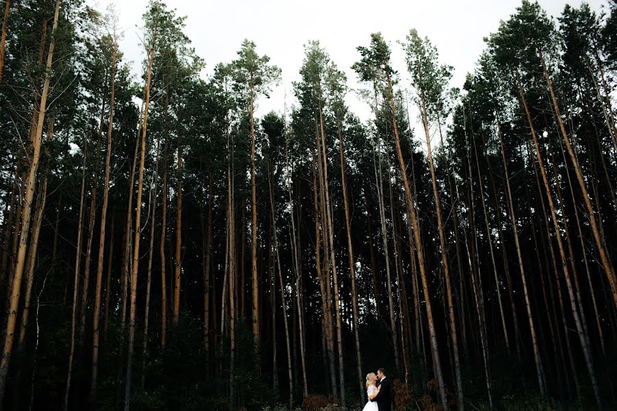 Wedding photographer Vladislav Kurochkin (vladislavkur). Photo of 28 February 2018