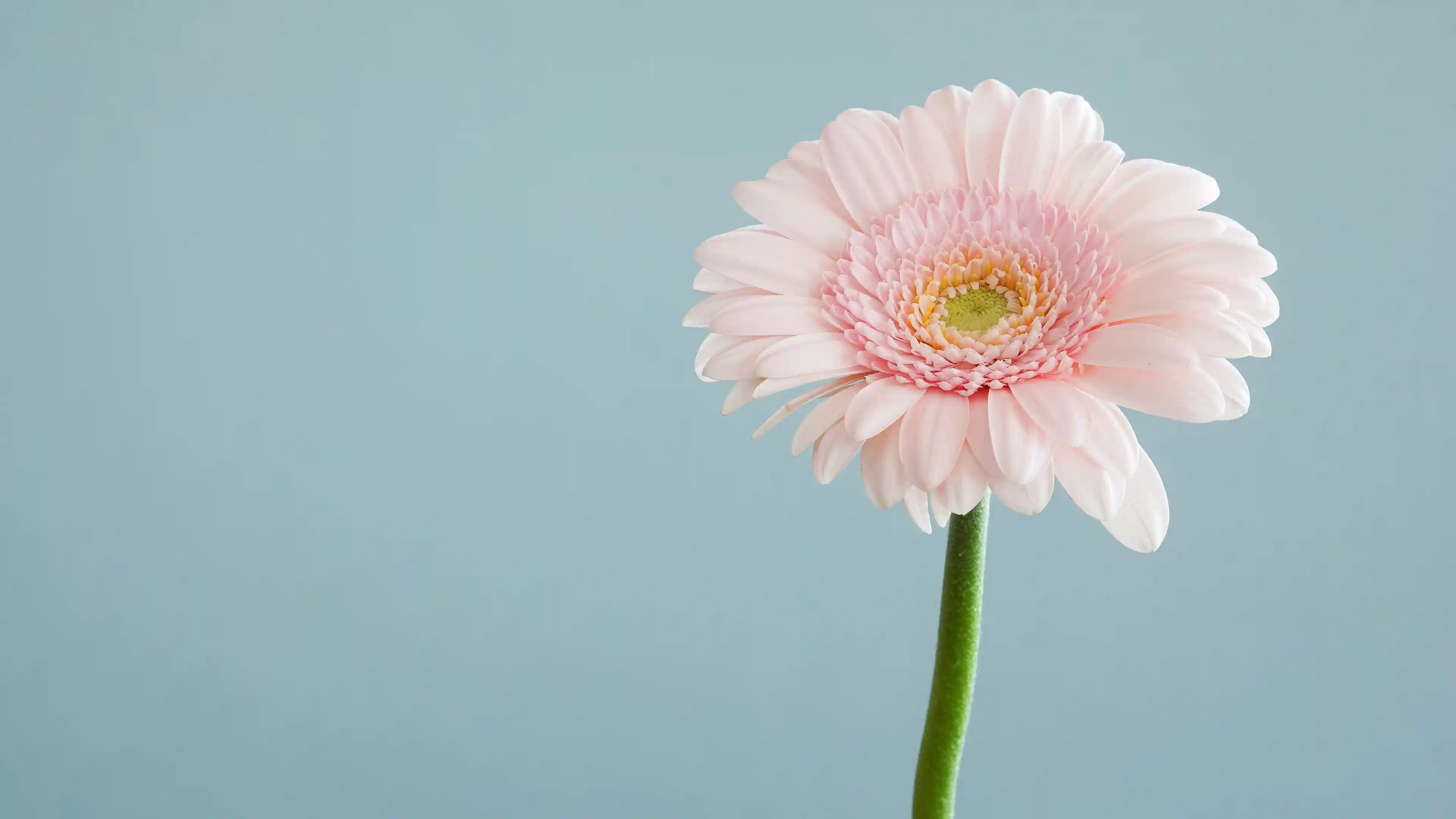 DIY Flower Vases from Pens