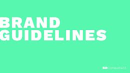 BB Consultant - Brand Guidelines item