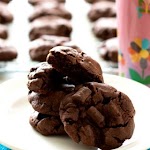 Chocolate Chocolate Chunk Pudding Cookies was pinched from <a href="https://www.melissassouthernstylekitchen.com/chocolate-chocolate-chunk-pudding-cookies/" target="_blank" rel="noopener">www.melissassouthernstylekitchen.com.</a>