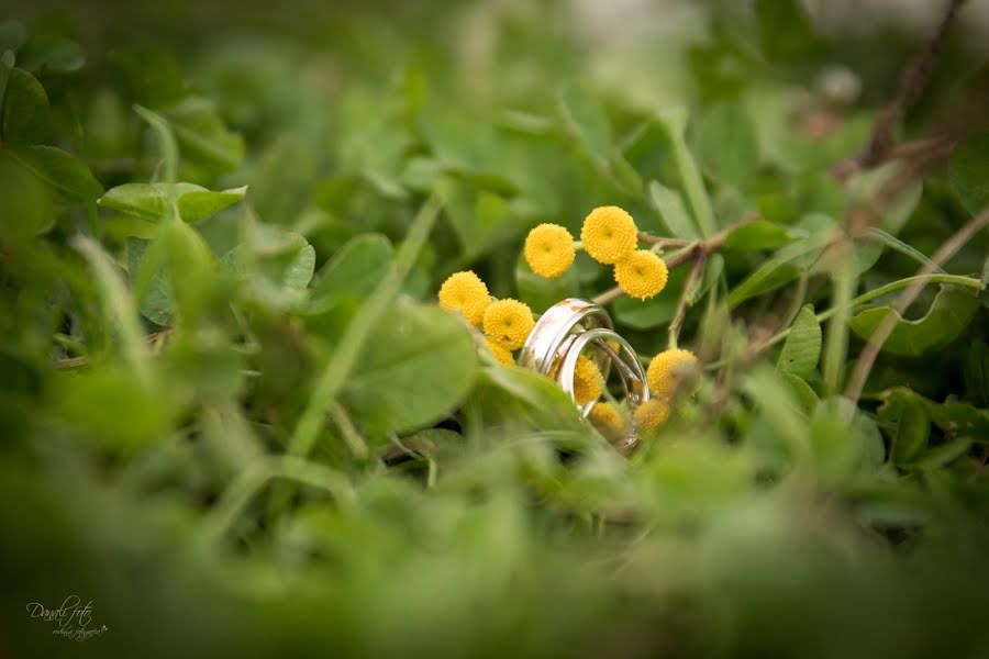 Bröllopsfotograf Lenka Olejňáková (danalifoto). Foto av 8 april 2019