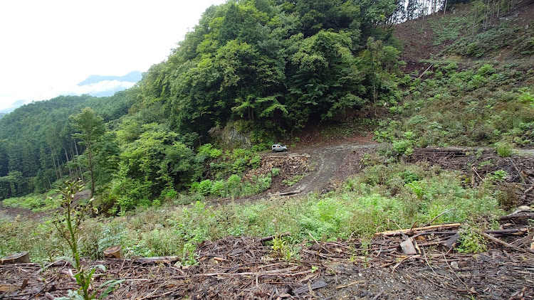 ジムニーの林道調査・みどり市・崩落通行不能・天地灰尽に関するカスタム事例の投稿画像8枚目
