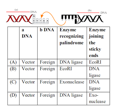 Tools of Recombinant DNA Technology