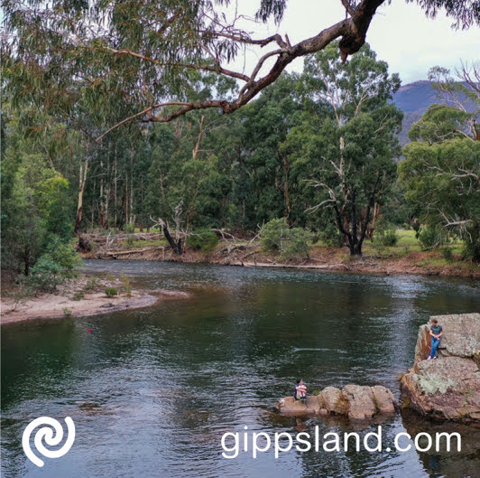 The mighty rivers of Licola also provide excellent rafting, kayaking and canoeing after the snow melts after winter