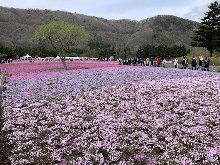 の投稿画像5枚目