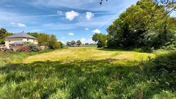 terrain à Louvigné-de-Bais (35)