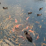 水岸森林會館