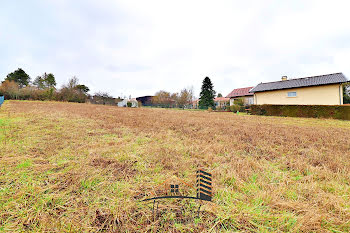 terrain à Lessy (57)