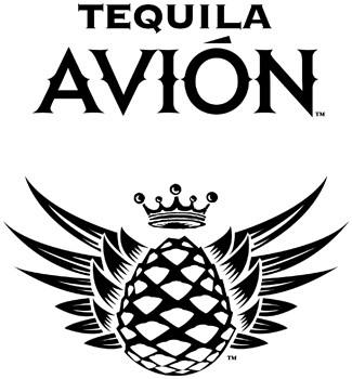 Logotipo de la empresa Avión