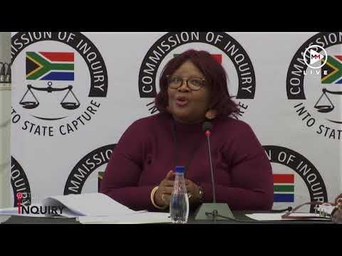 Vytjie Mentor has has accused the state capture commission of lacking fairness.