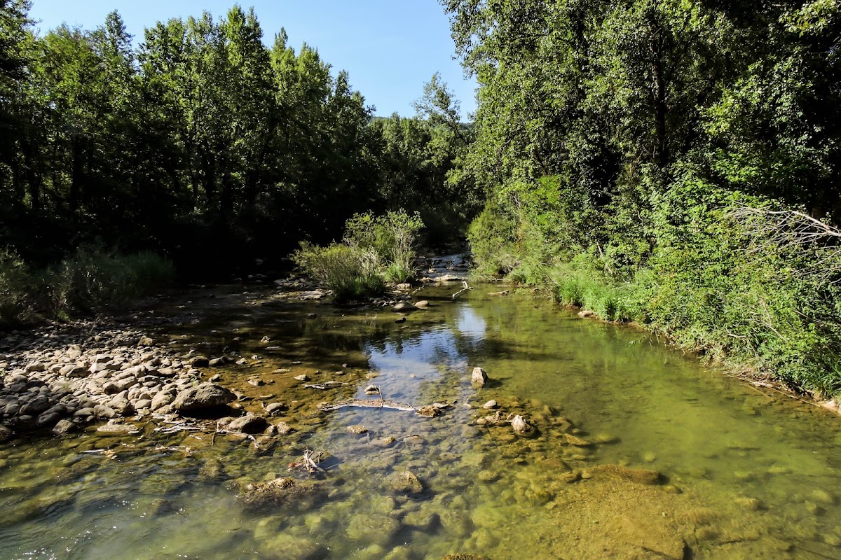 The river Merse