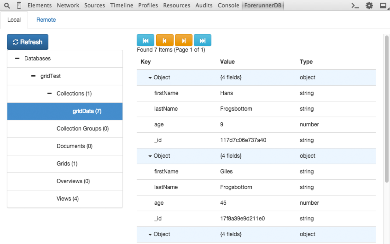 ForerunnerDB Explorer Preview image 1