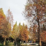 菁芳園 Tenway Garden／花園餐廳／落羽松