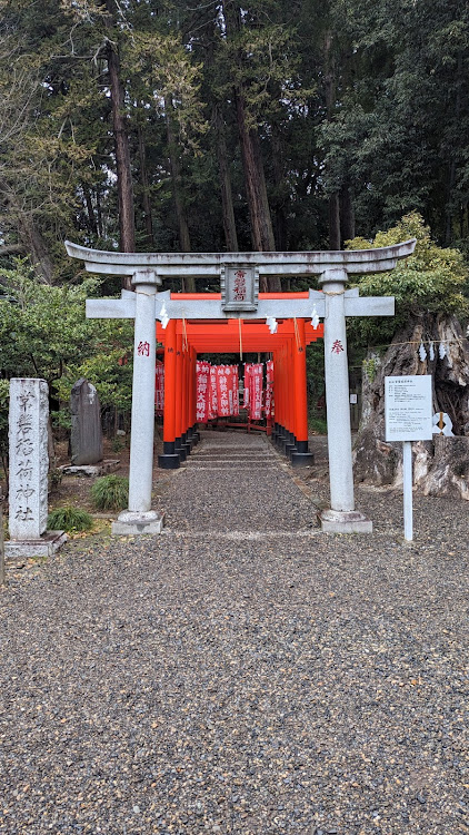 バモスホビオの袋田の滝・竜神大吊橋・セイコーマート・偕楽園・ランチオフに関するカスタム事例の投稿画像52枚目