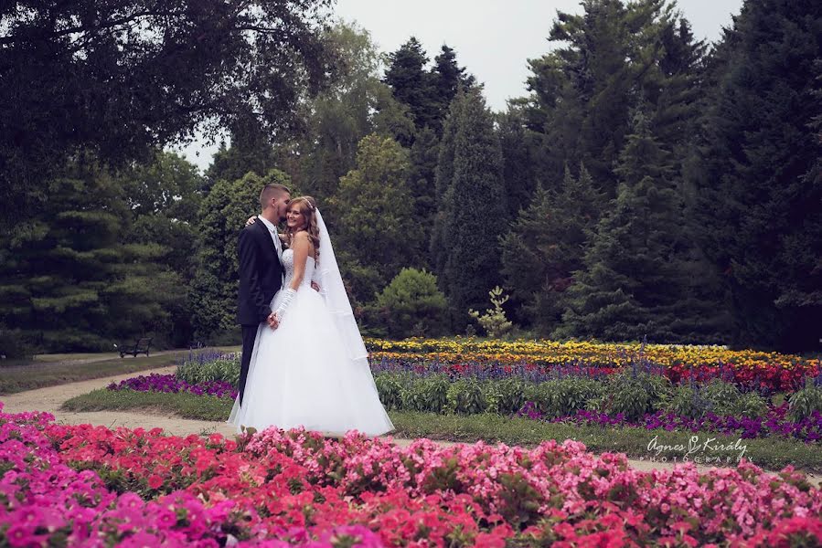 Wedding photographer Király Ágnes (kiralyagnes). Photo of 24 February 2019