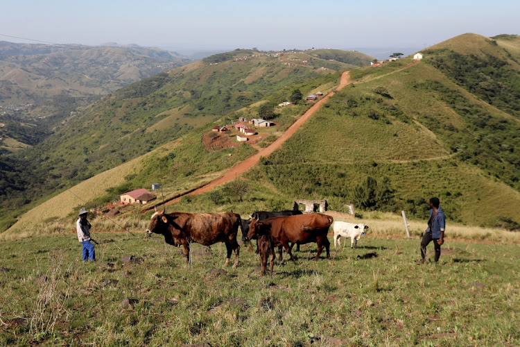 Residents in Melmoth in northern KwaZulu-Natal don’t want to leave their homes to make way for an iron ore mine. File photo.