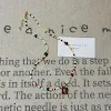 miniatures image - 2