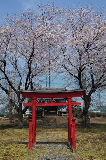 稲荷神社 鳥居