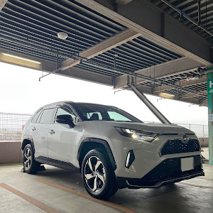 RAV4 AXAP54