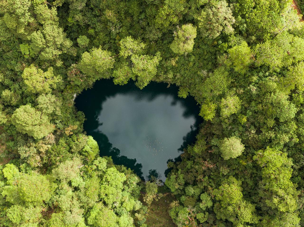 Cenote Mexico