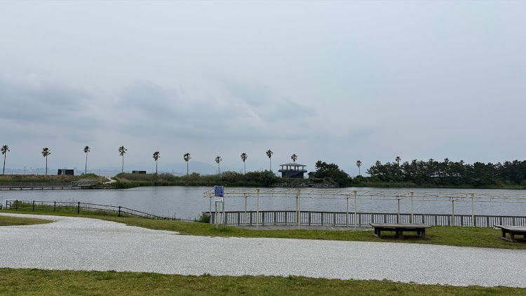 フェアレディZの第二日曜日・どげんか鳴淵・海の中道海浜公園・ドッグラン・Z31 200ZR-II  2by2  ナローボディに関するカスタム事例の投稿画像12枚目