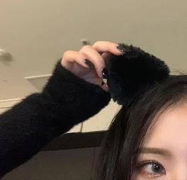 ﾅﾇﾝ、ｺﾔﾝｲﾔ?!😽