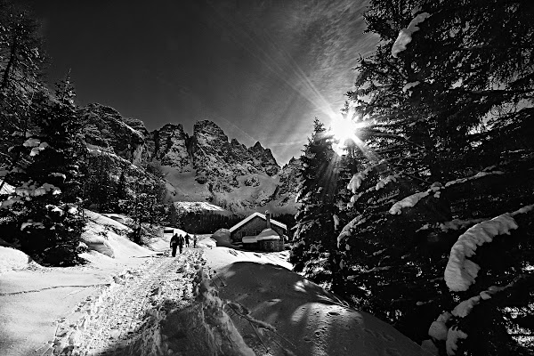 Verso le pale di San Martino di Yoyo