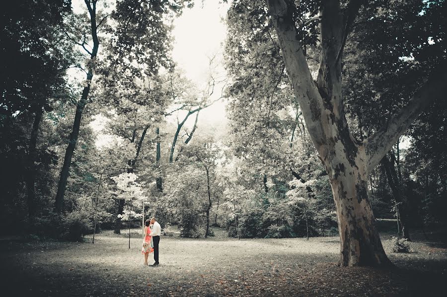 Huwelijksfotograaf Alex Daogariu (alexdaogariu). Foto van 6 maart 2019