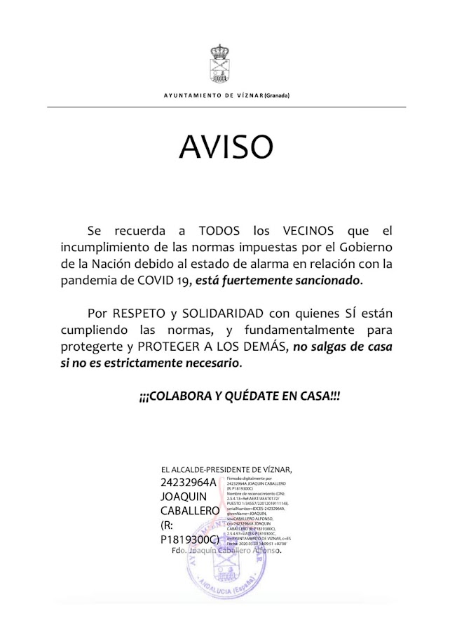 estado alarma viznar 2020