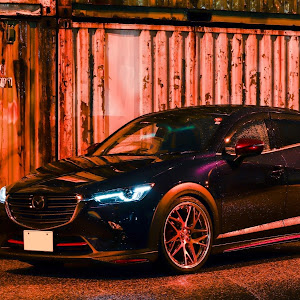 CX-3 DKEFW