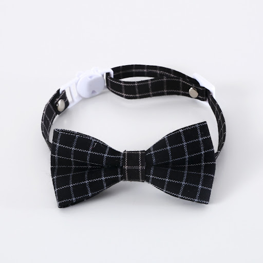 Title 4, Pet Cat Dog Doctors Degree Hair Band Bow Tie —...