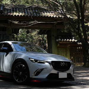 CX-3 DK5FW